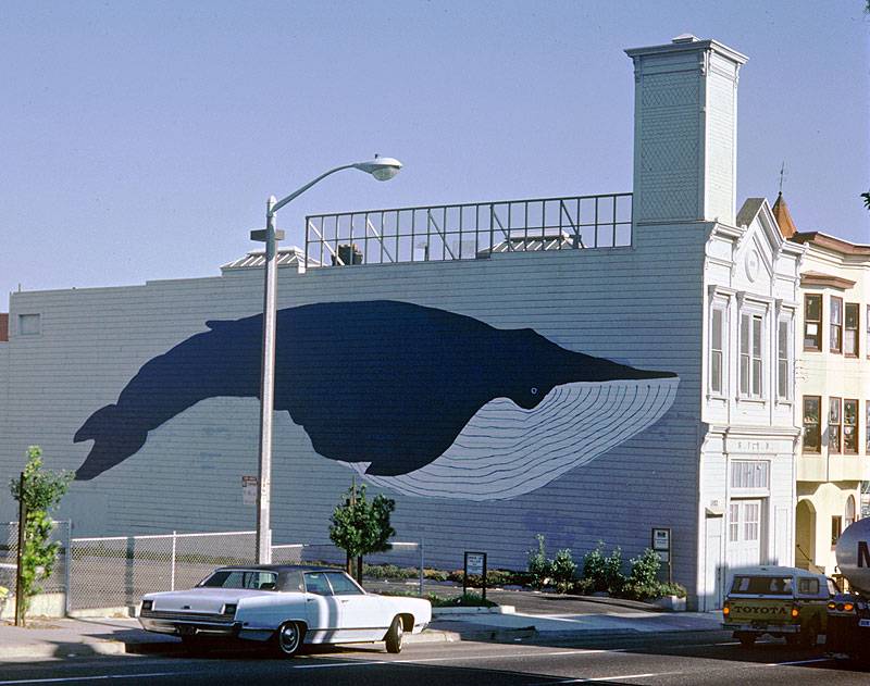 5 Whale.jpg