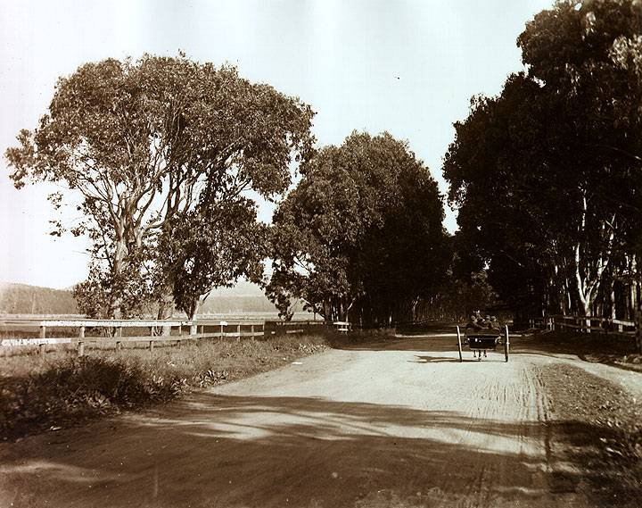 Ocean-Ave-at-35th-c1900.jpg