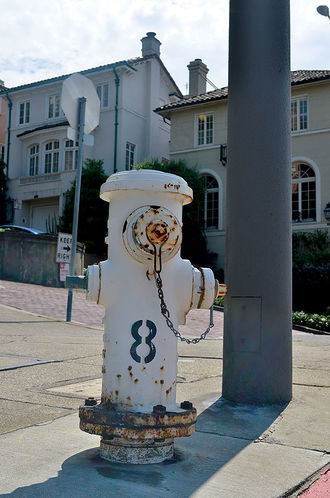 White-hydrant.jpg