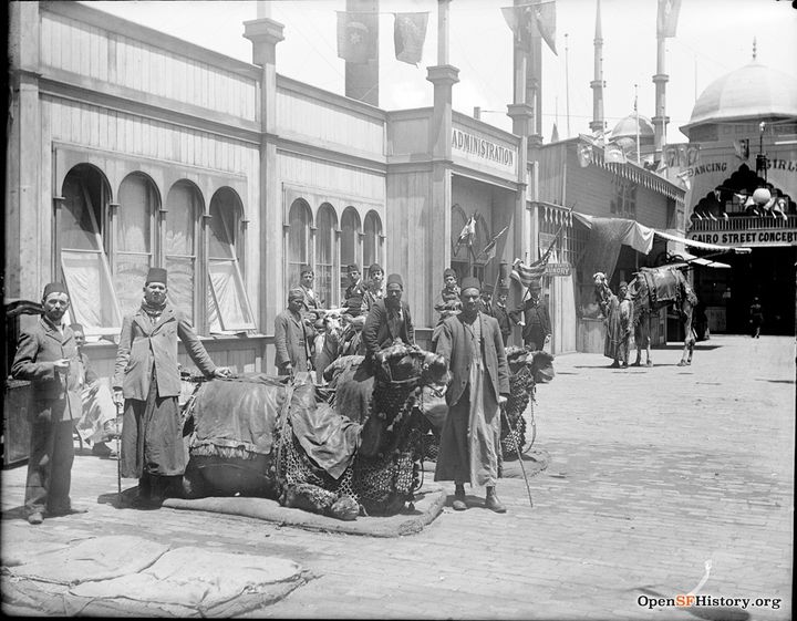 Cairo Street camels and drivers wnp15.141.jpg